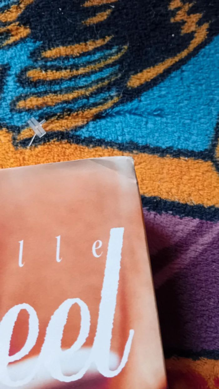 Livre Maintenant et pour toujours Danielle Steel - photo numéro 5