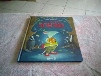 Livre. Les merveilleuses histoires de la petite souris.   Edition Fleurus