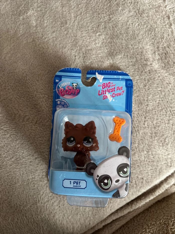 Petshop