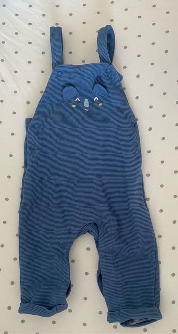 Salopette bleue