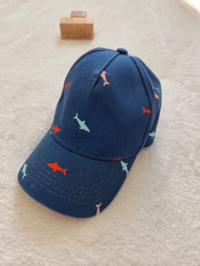 Casquette requins