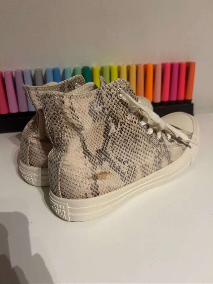 Converse Python - photo numéro 2