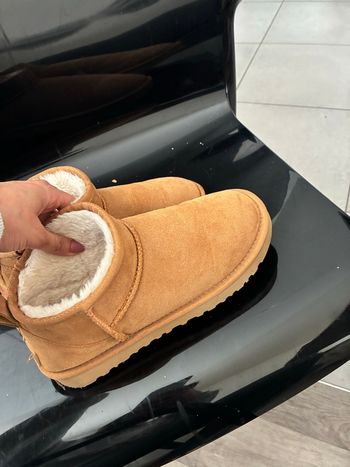Ugg  botte 