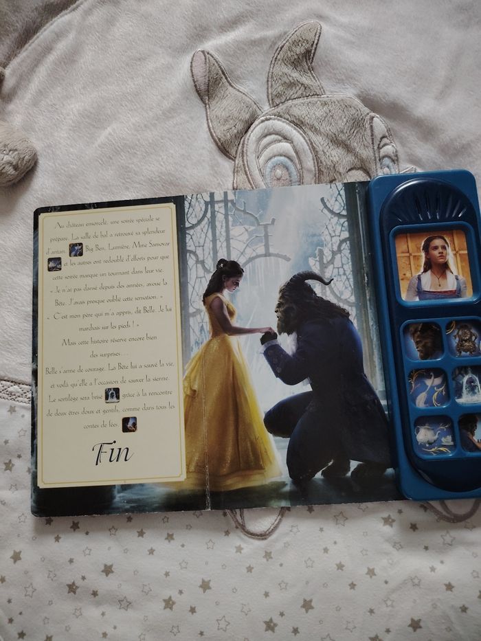 Livre la belle et la bête - photo numéro 6