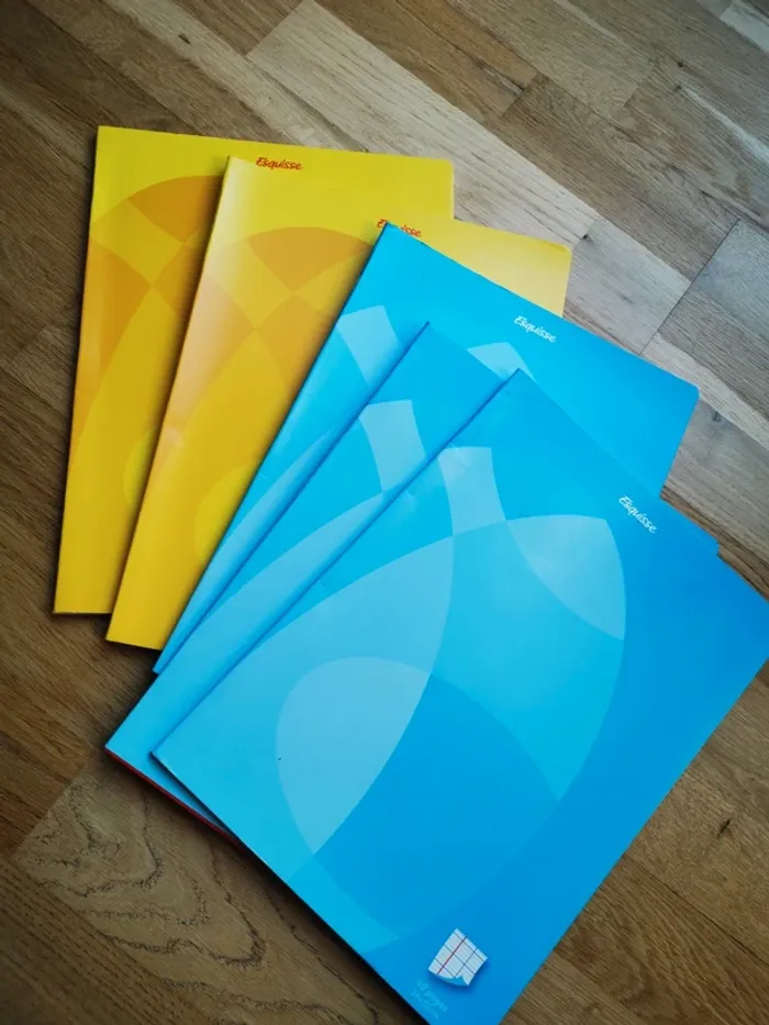 Lot de 5 cahiers 48 pages grands carreaux