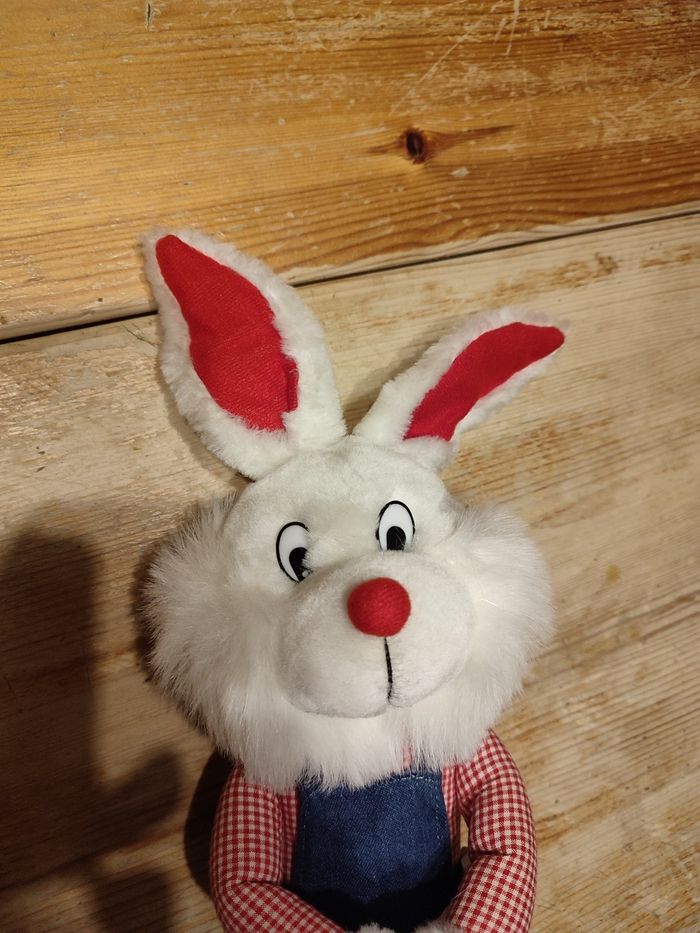 Lapin fermier - photo numéro 2