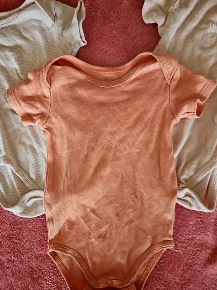 3 body manches courtes 9 mois - photo numéro 2