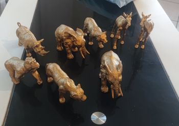 Animaux savane