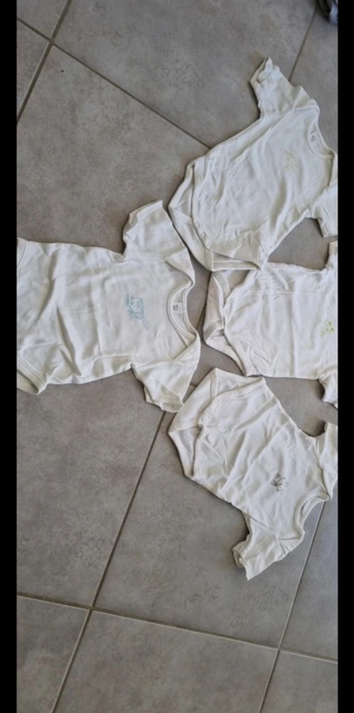 Lot bodies manches courtes