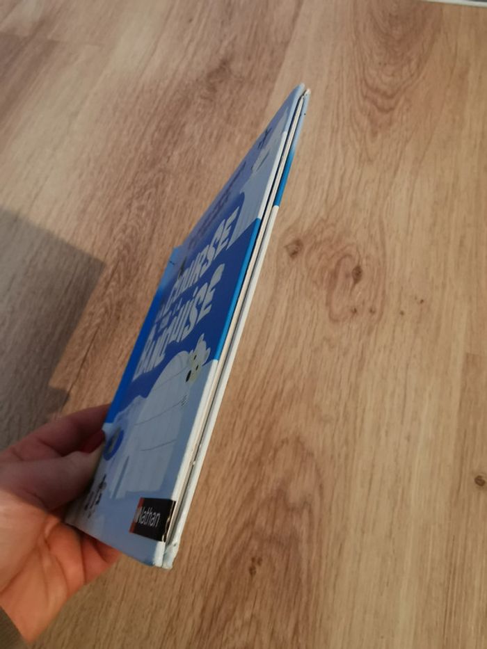 La course sur la banquise. Les petits voyageurs à l'aventure, éd. Nathan - photo numéro 7