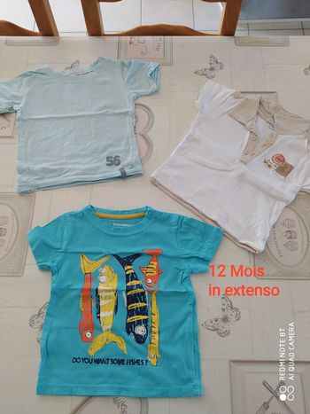 Lot de 3 t -shirt manches courtes 12 mois in extenso