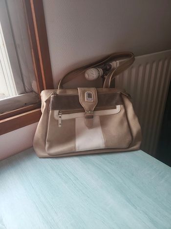 Sac a main collection phoenix