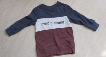 Sweat brique et bleu