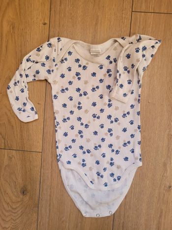 Body absorba 18 mois tbe