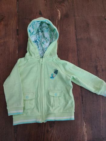 Sweat zippé vert d'eau toucan