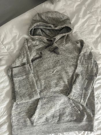 Sweat Hollister