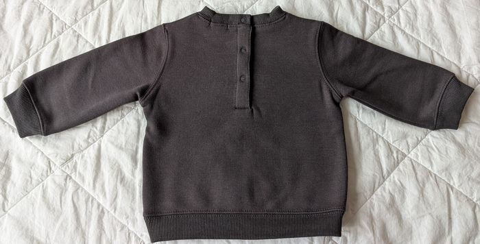 Pull ours - photo numéro 4