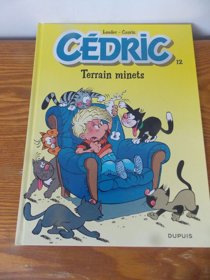 BD Cédric Terrains minets 2013 Dupuis