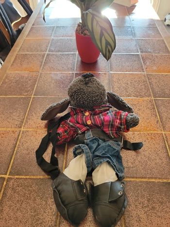 Sac à dos peluche / range pyjama