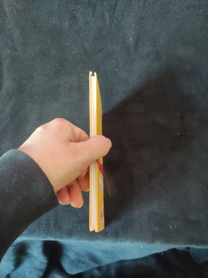 Livre Winx - photo numéro 4