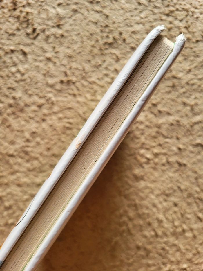 Livre enfant "P'tit Mickey attend le Père Noël" - Fleurus - photo numéro 3