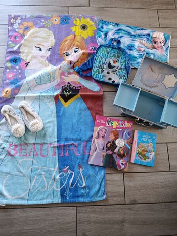 Lot reine des neiges 