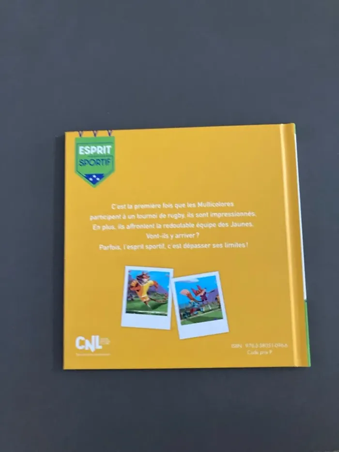 Livre le match de rugby hachette - photo numéro 2