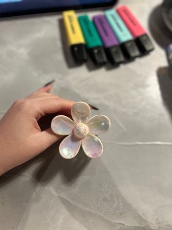 Lot de 2 pinces crabe fleur – brun mat & blanc métallisé – neuves