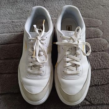 Basket Puma
