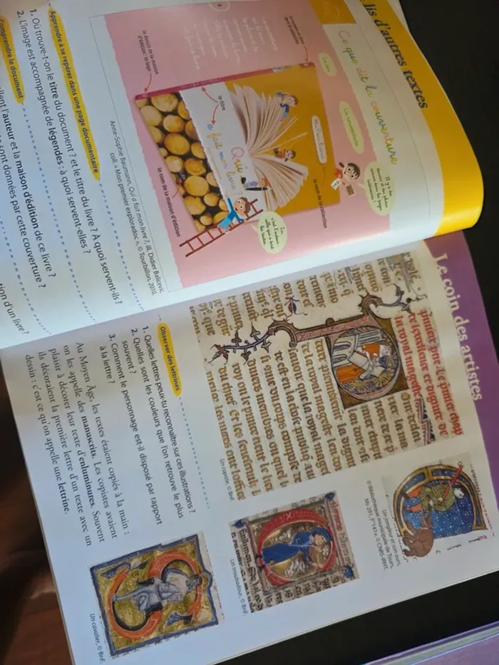 Lot livres ce1 la ruche aux livres et chute je lis - photo numéro 7