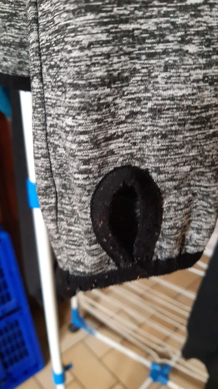 Veste de sport - photo numéro 4