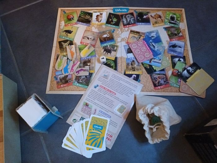 Jeu Ushuaia - photo numéro 3