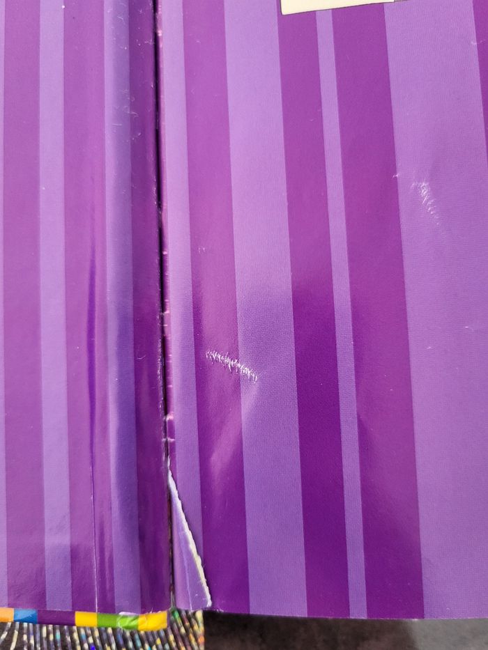 Lot de 2 livres Dora - photo numéro 3