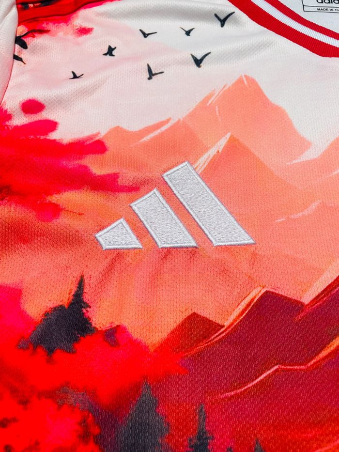 Maillot concept foot Japon rouge paysage taille M - photo numéro 5