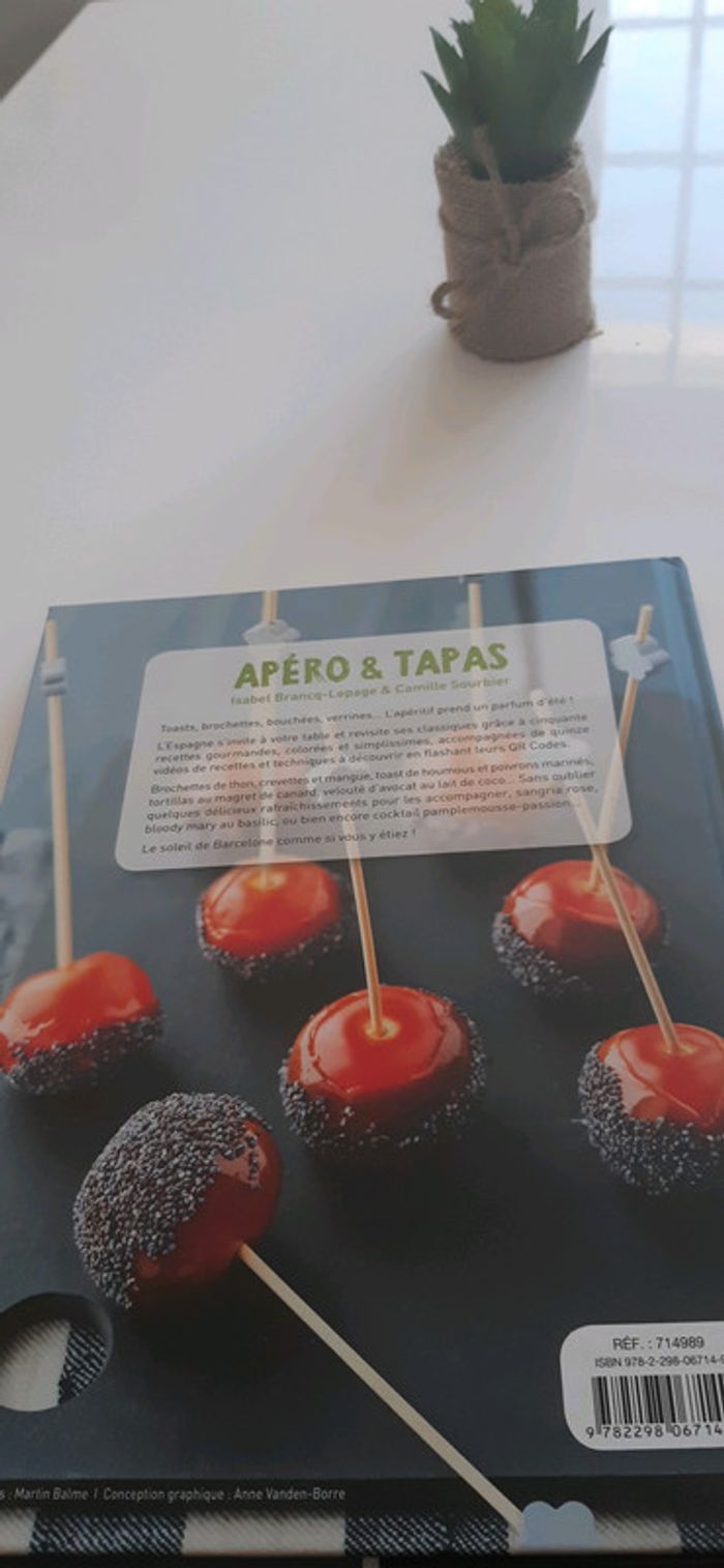 Livre recette apéro et tapas - photo numéro 5