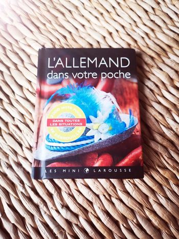 Livre l'allemand dans votre poche langue