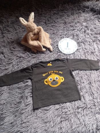 Pull léger/t-shirt manches longues bébé garcon