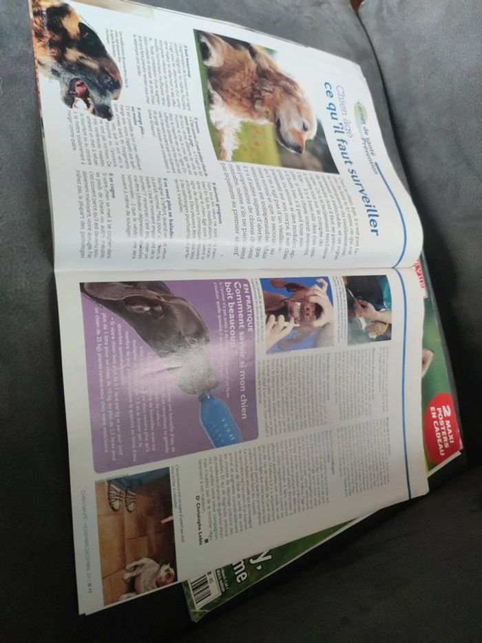 Magazine spécial husky de Sibérie revue chien 2000 - photo numéro 10