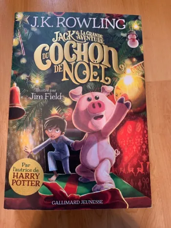 Livre JK Rowling