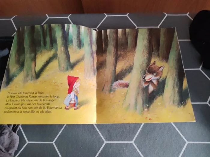 Livre le petit chaperon rouge - photo numéro 2