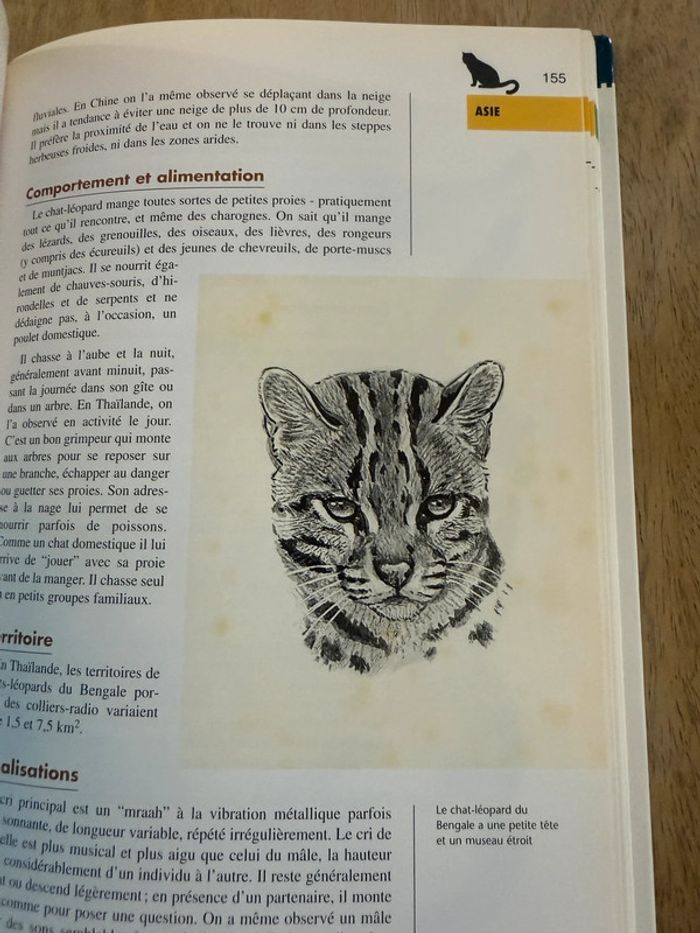 Bibliothèque du naturaliste encyclopédie livre rare Les félins Robert Dallet panthères wwf - photo numéro 9