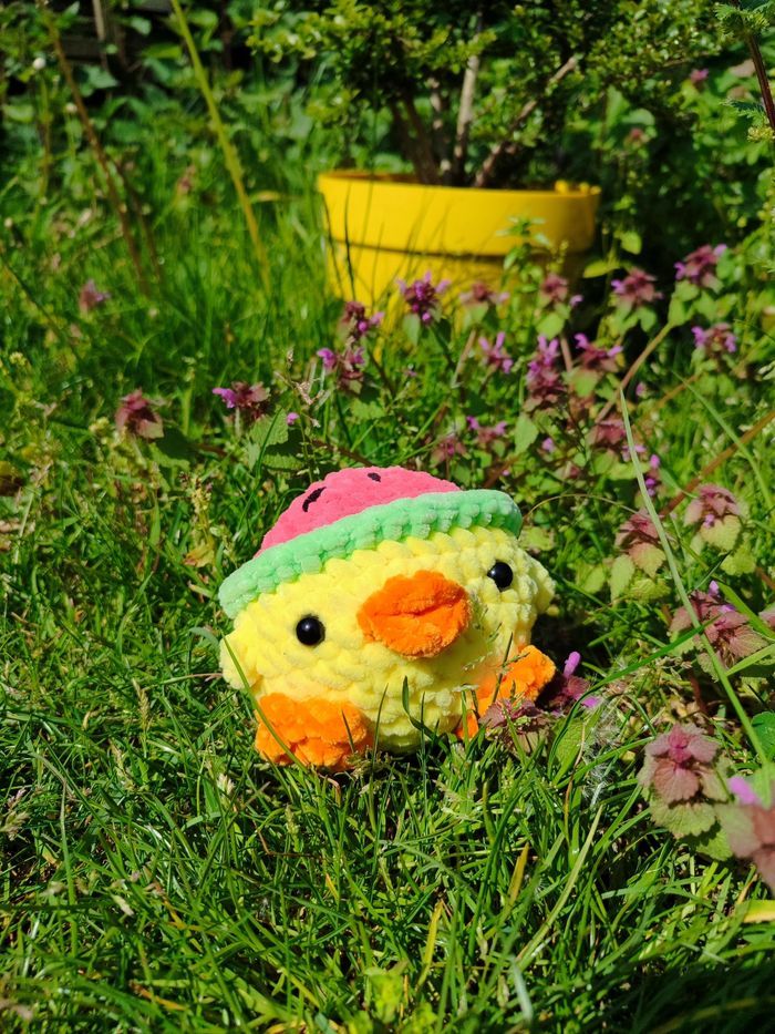 Pépino - Poussin au Chapeau-Pastèque - photo numéro 2