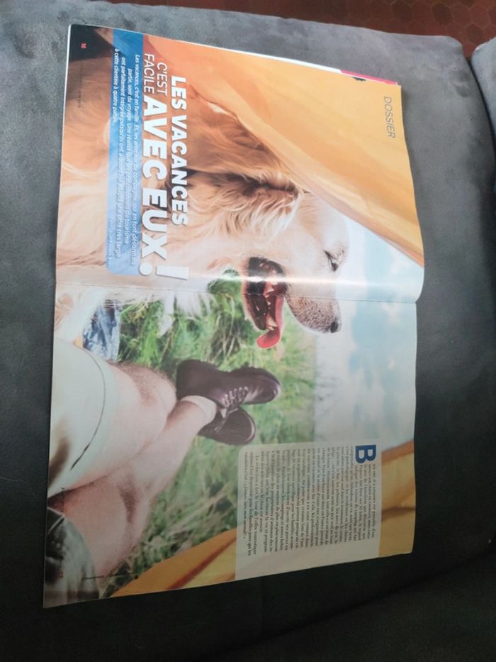 Magazine 30 millions d'amis numéro 374 été 2019 - photo numéro 5