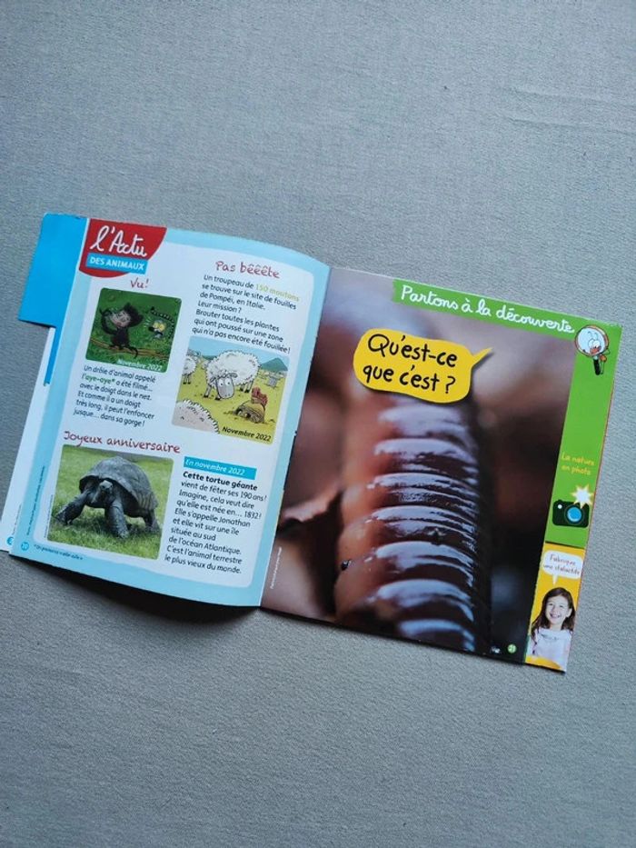 Livre Youpi Doc - photo numéro 4