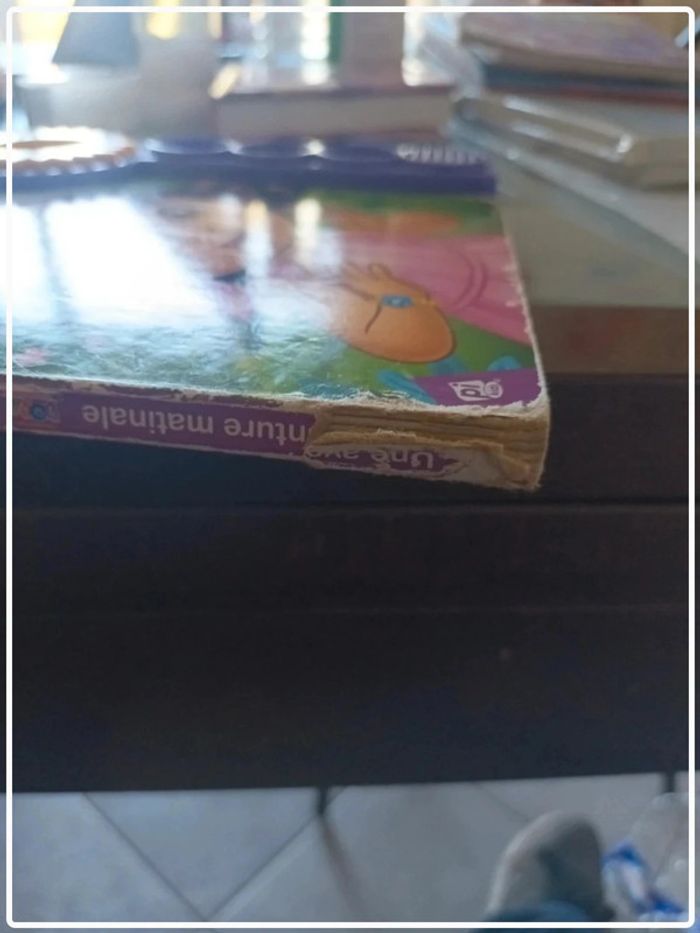 Dora Aventure matinale livre musical - photo numéro 6