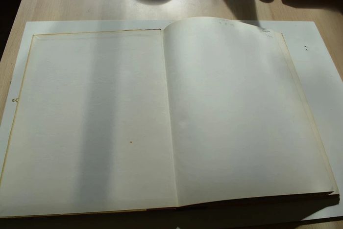 Turner - photo numéro 2