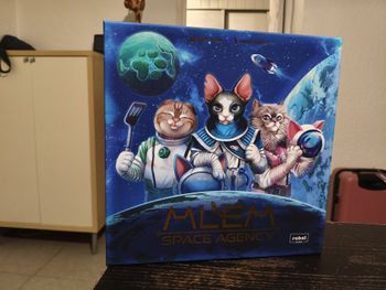 MLEM : Space Agency