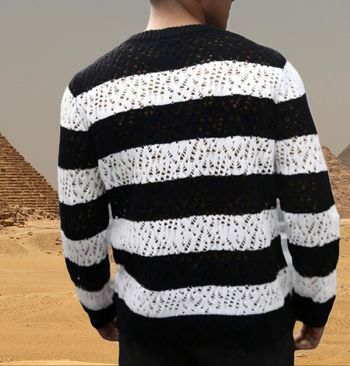 Pull homme - photo numéro 2