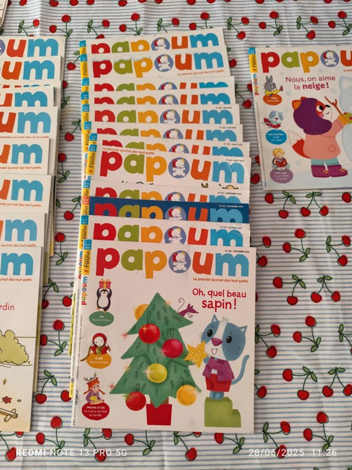 Lot papoum 40 livres dont une année complète - photo numéro 7