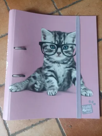 Pochette classeur chat